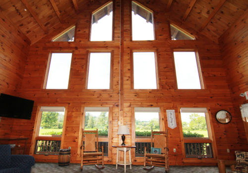 Great Room - Lake View Lodge